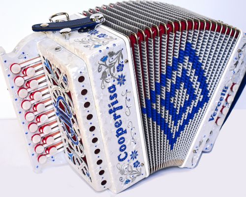 organetto usato prova